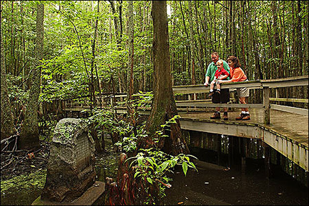 Louisiana Purchase State Park near Brinkley