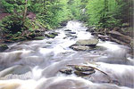 Lehigh Gorge