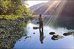 Little Red River
