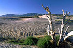 More Sand Dunes