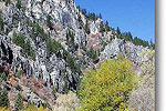 Logan Canyon