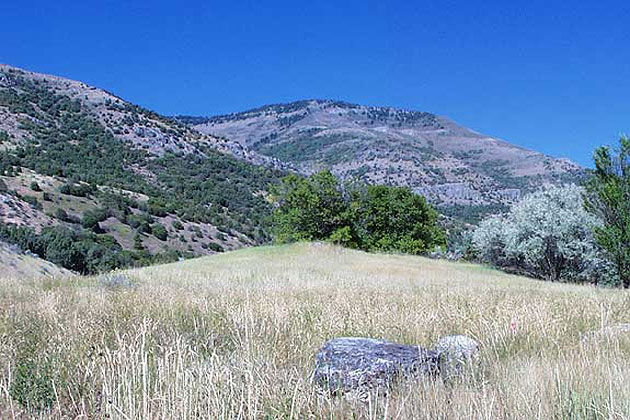 Logan Canyon