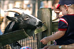 Little Rock Zoo