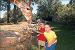 Little Rock Zoo