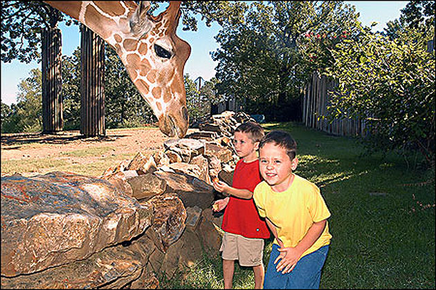 Little Rock Zoo