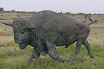 Lubbock Lake Landmark