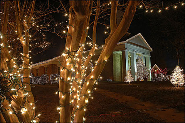 Holiday Lights in Malvern