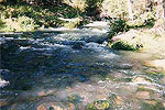 Mammoth Springs