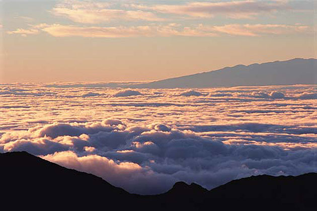 Maui