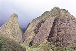 Maui