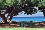 Maui