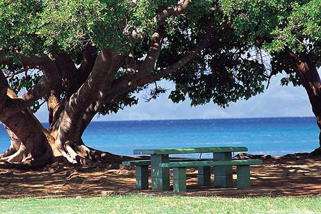 Maui