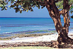 Maui