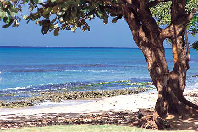 Maui