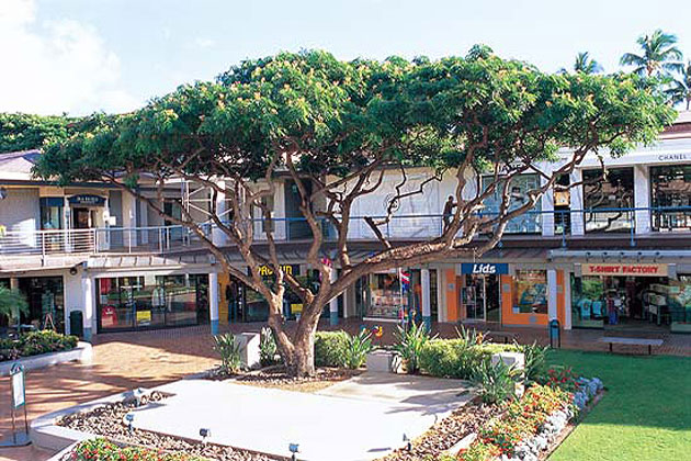 Maui