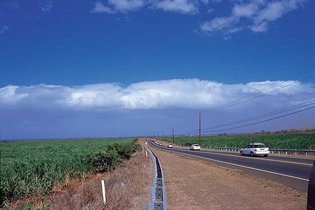 Maui