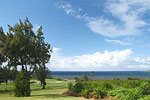 Maui