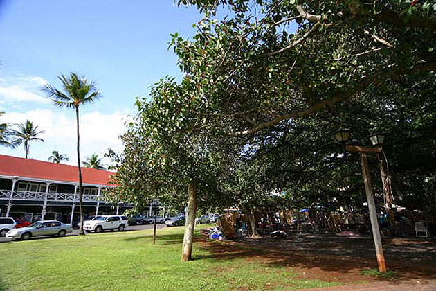 Maui