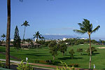 Maui