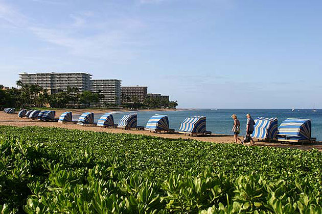 Maui