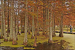 McGehee City Park
