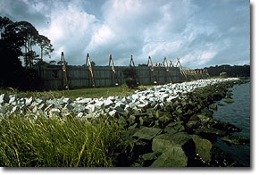 Fort Caroline National Memorial
