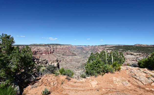 Dark Canyon View