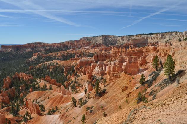 Bryce Canyon Hoodoos