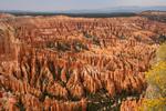 Bryce Canyon Ampitheatre