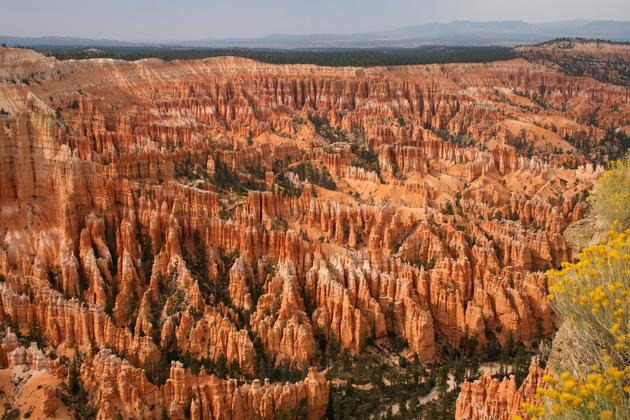 Bryce Canyon Ampitheatre