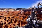 Cedar Breaks National Monument