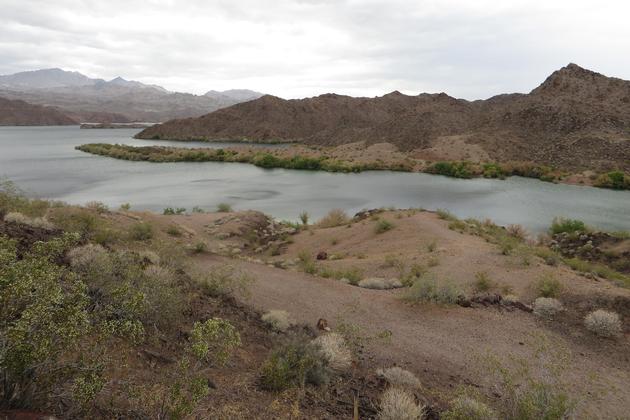 Lake Mohave