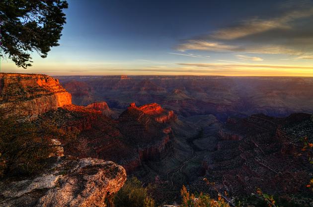 Early Morning Light