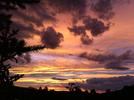 Aspen Sunset