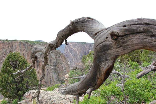 Black Canyon of the Gunnison National Park