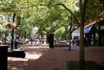 Pearl Street Pedestrian Mall