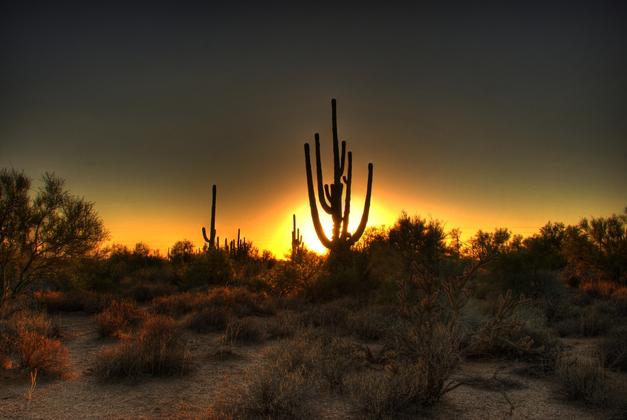 Scottsdale Sunset