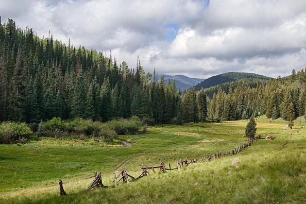 Meadow Along the Little Colorado River