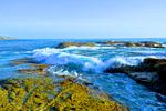 Beautiful Wave at Laguana Beach