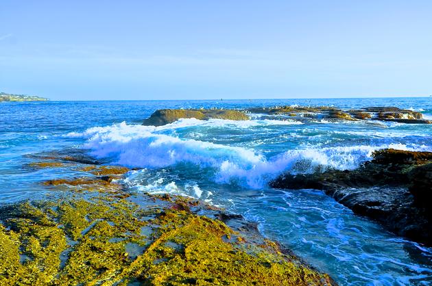 Beautiful Wave at Laguana Beach