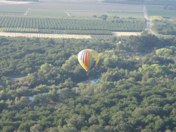 Napa Valley Balloon Ride