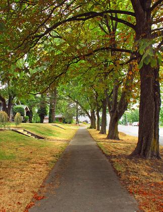 Washington Tacoma Thompson Ave