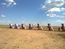 Amarillo , TX, the Cadillac ranch!