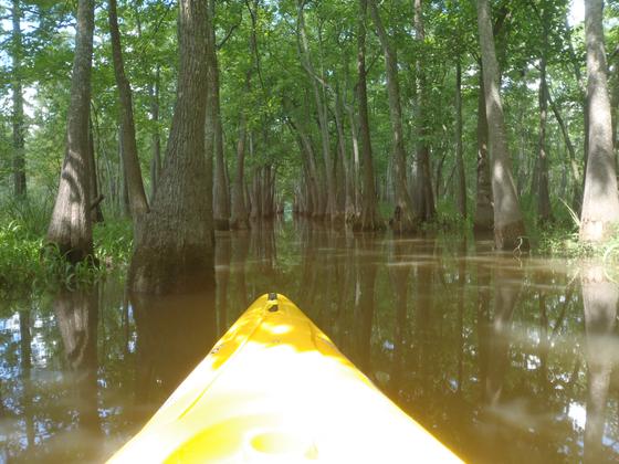 Turning West towards the Neches River