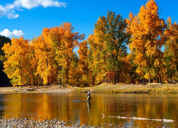 Flyfishing In Missoula