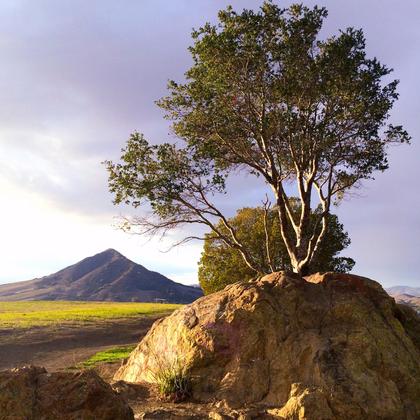 San Luis Obispo, California