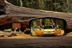 Tunnel Log, Sequoia National Park