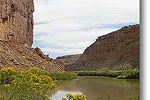 Colorado River