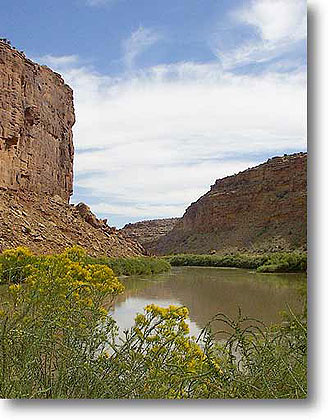 Colorado River