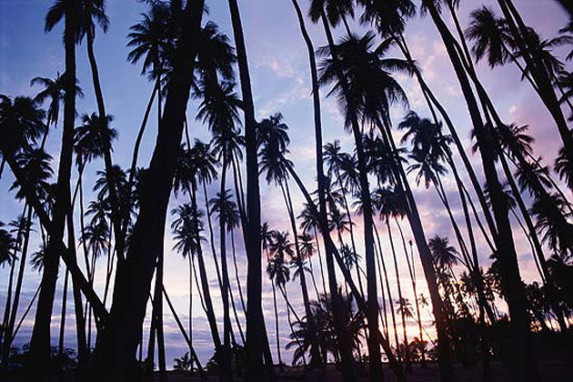 Molokai